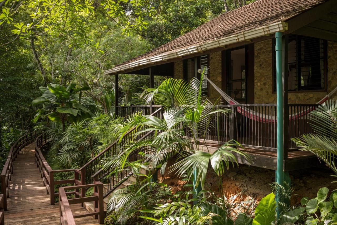 Sweet Songs Jungle Lodge Сан-Игнасио Экстерьер фото