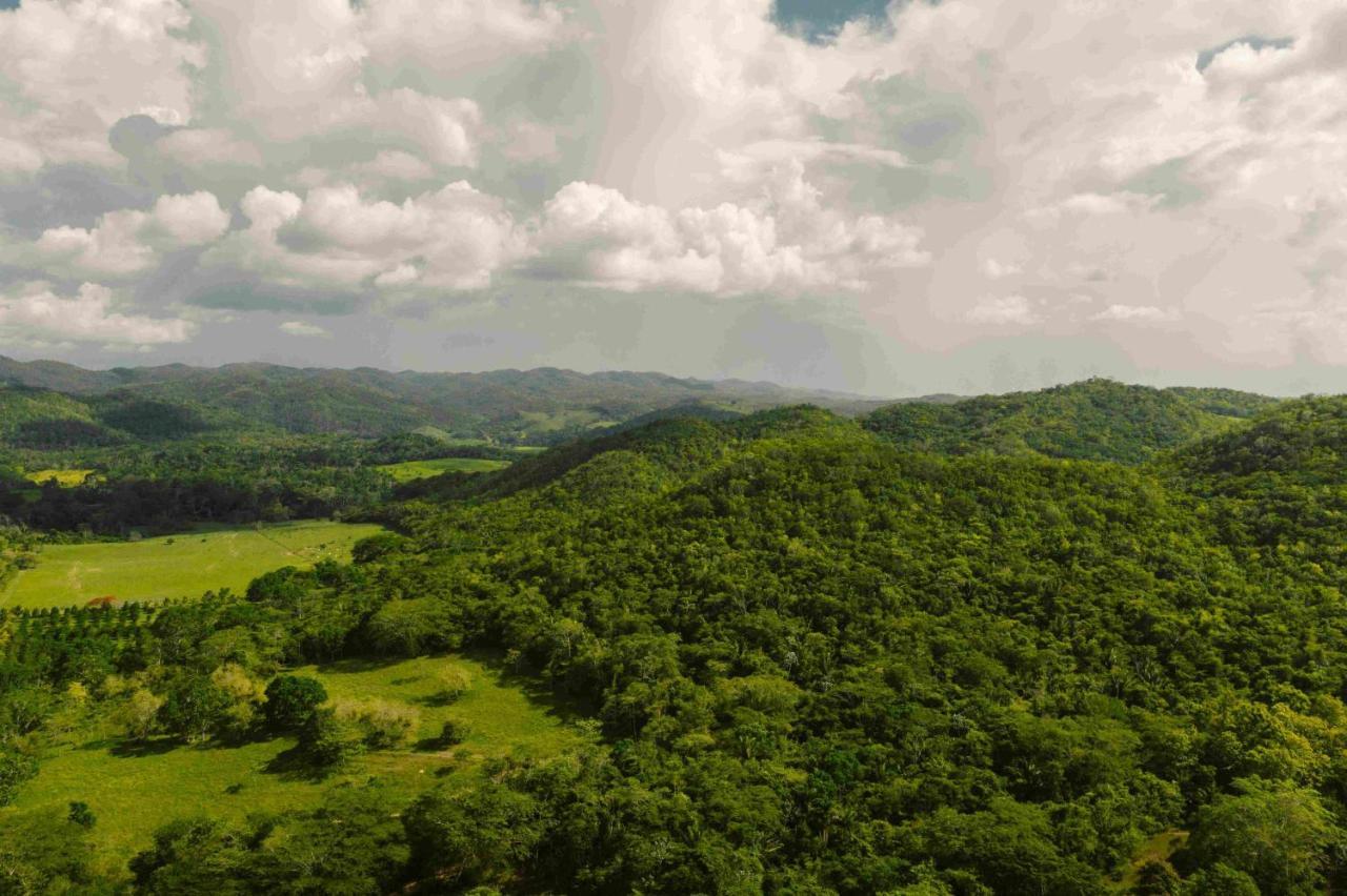 Sweet Songs Jungle Lodge Сан-Игнасио Экстерьер фото
