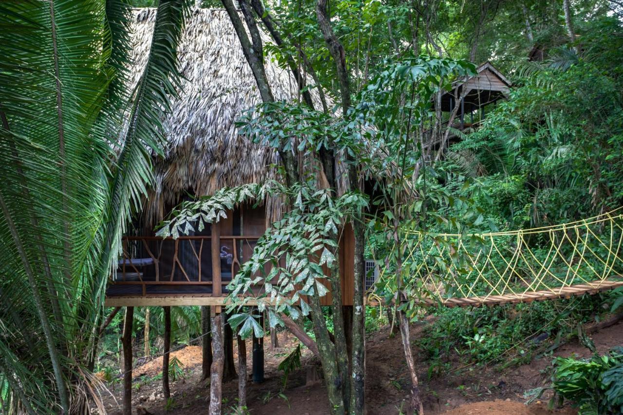 Sweet Songs Jungle Lodge Сан-Игнасио Экстерьер фото