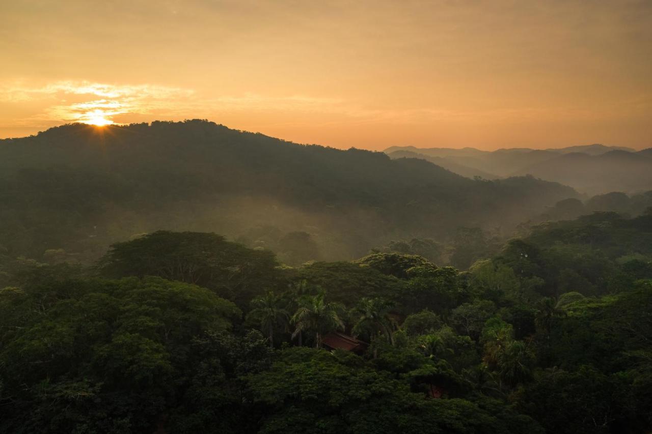 Sweet Songs Jungle Lodge Сан-Игнасио Экстерьер фото