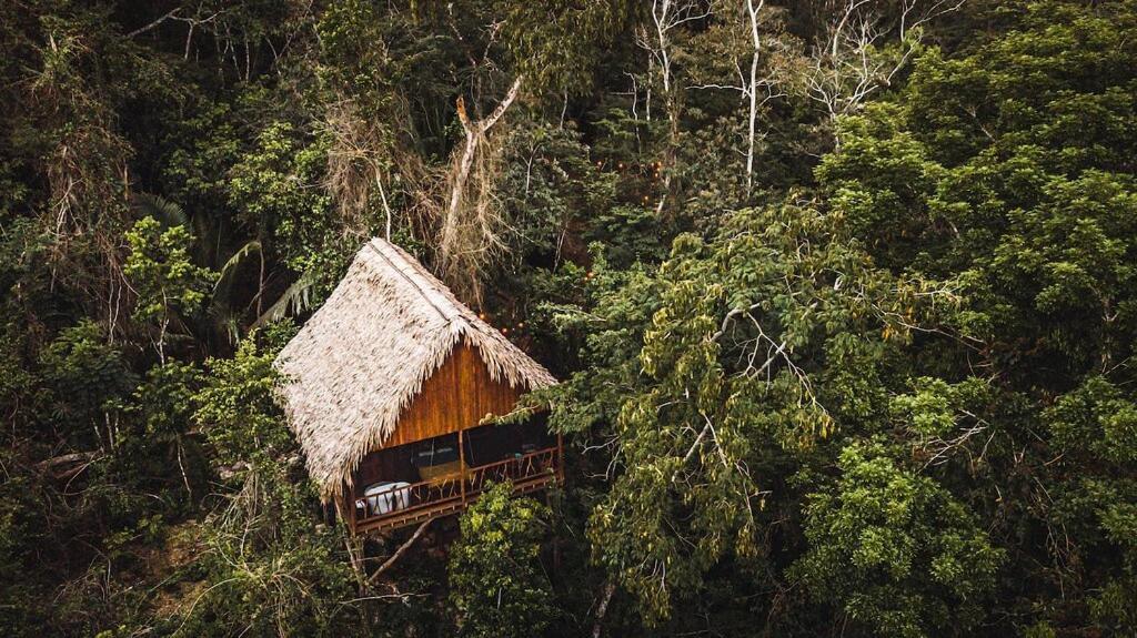 Sweet Songs Jungle Lodge Сан-Игнасио Экстерьер фото
