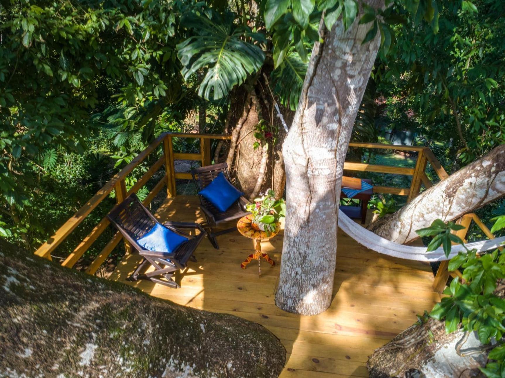 Sweet Songs Jungle Lodge Сан-Игнасио Экстерьер фото