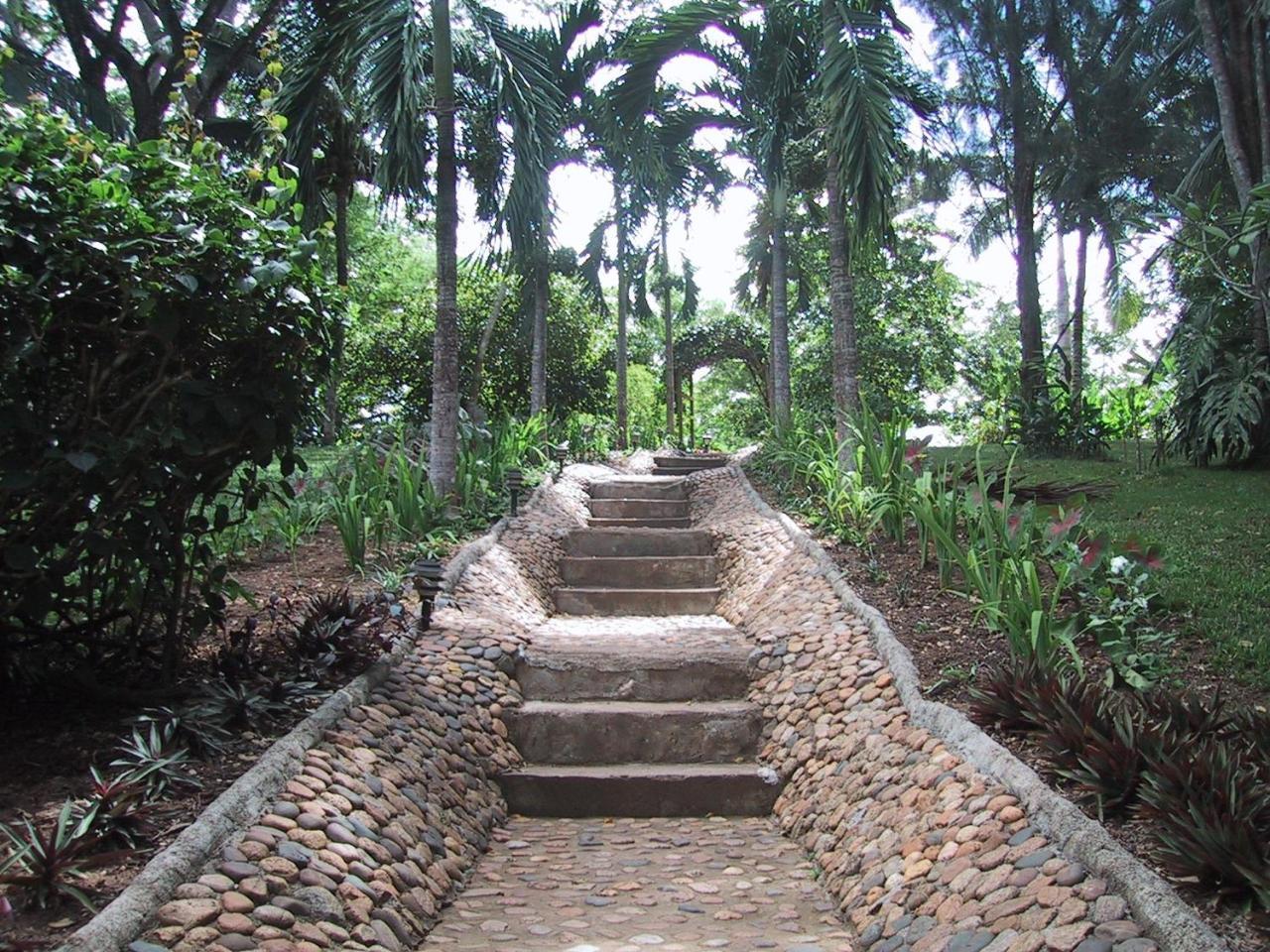 Sweet Songs Jungle Lodge Сан-Игнасио Экстерьер фото