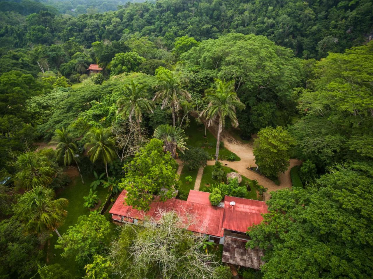 Sweet Songs Jungle Lodge Сан-Игнасио Экстерьер фото
