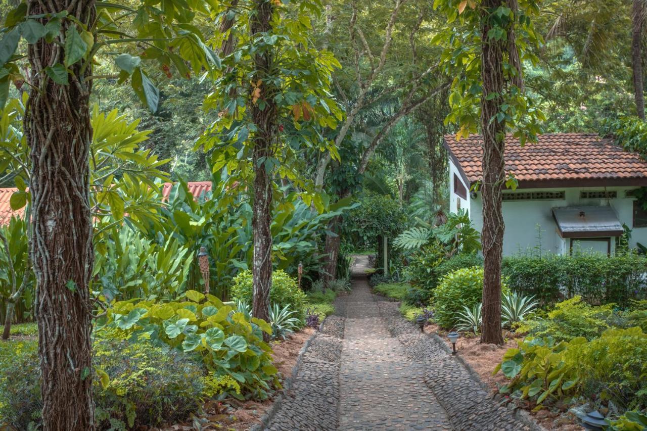 Sweet Songs Jungle Lodge Сан-Игнасио Экстерьер фото