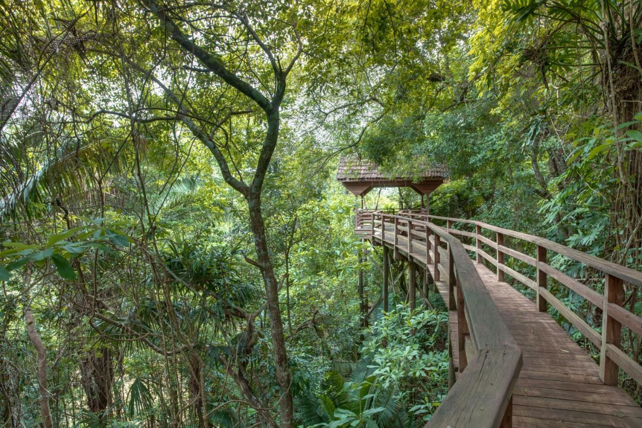 Sweet Songs Jungle Lodge Сан-Игнасио Экстерьер фото
