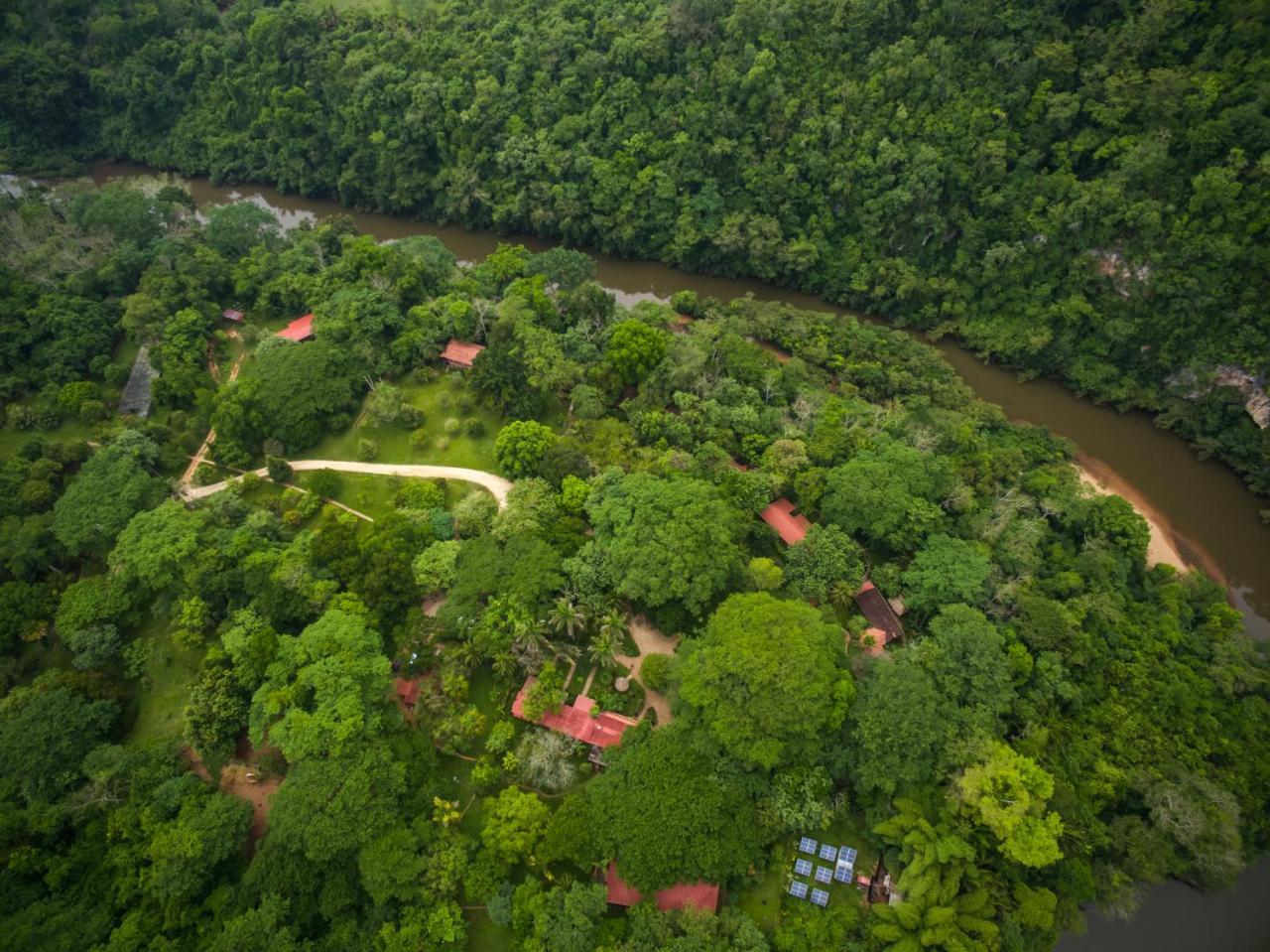 Sweet Songs Jungle Lodge Сан-Игнасио Экстерьер фото