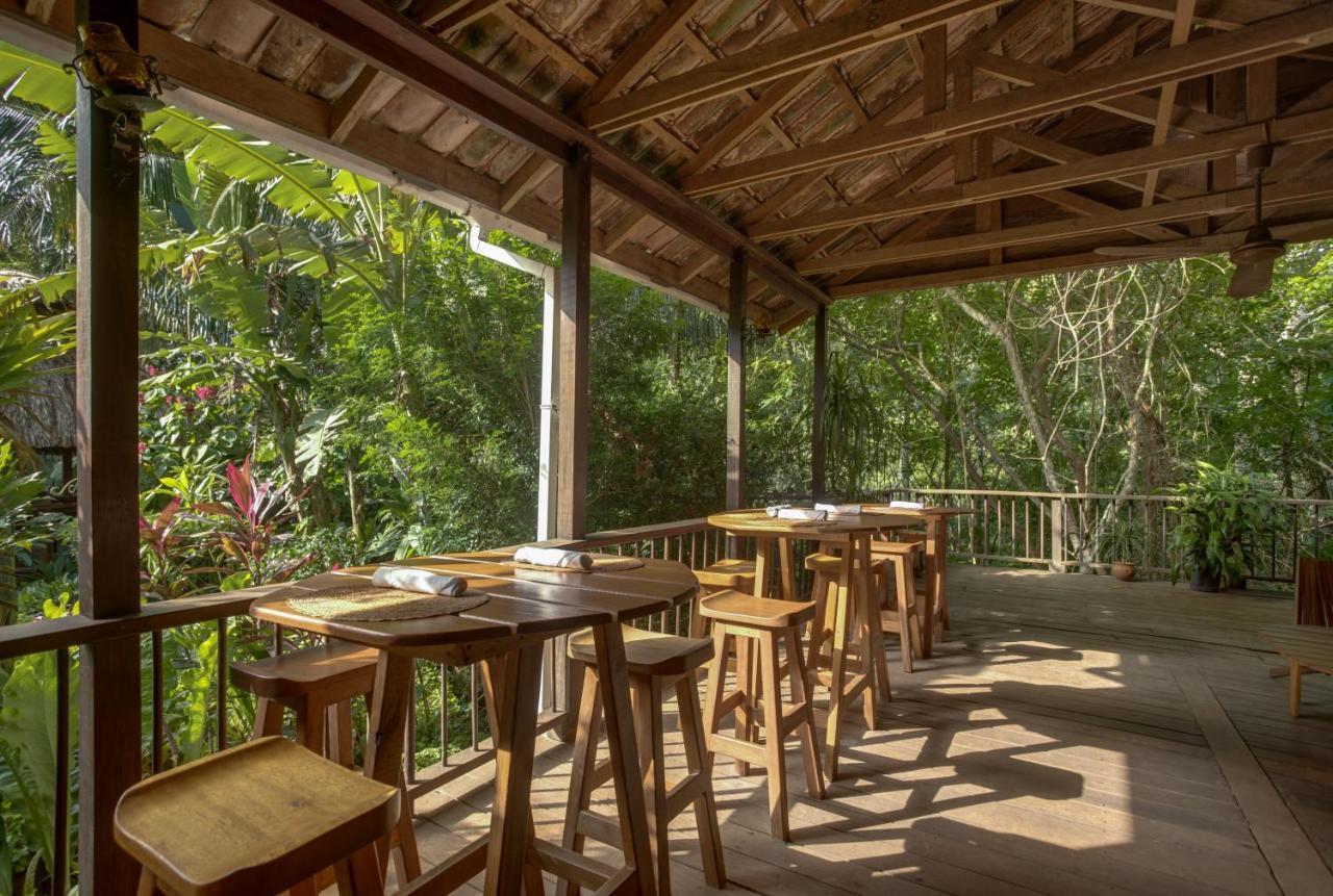 Sweet Songs Jungle Lodge Сан-Игнасио Экстерьер фото