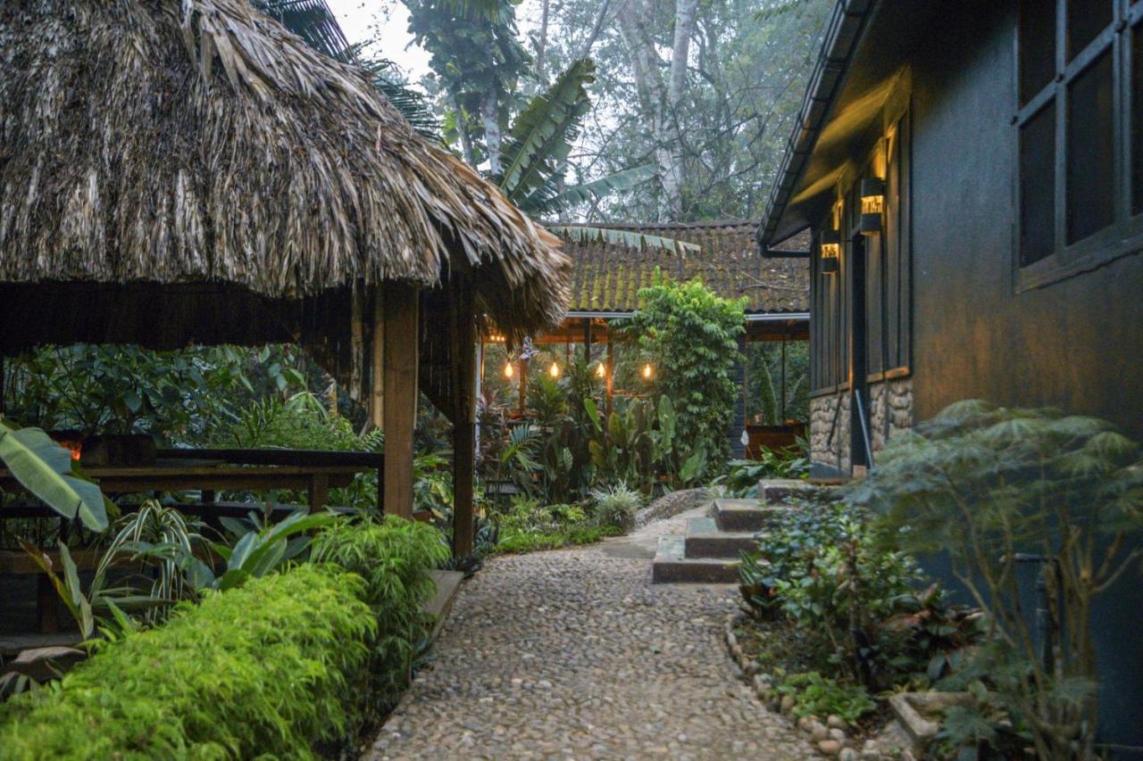 Sweet Songs Jungle Lodge Сан-Игнасио Экстерьер фото