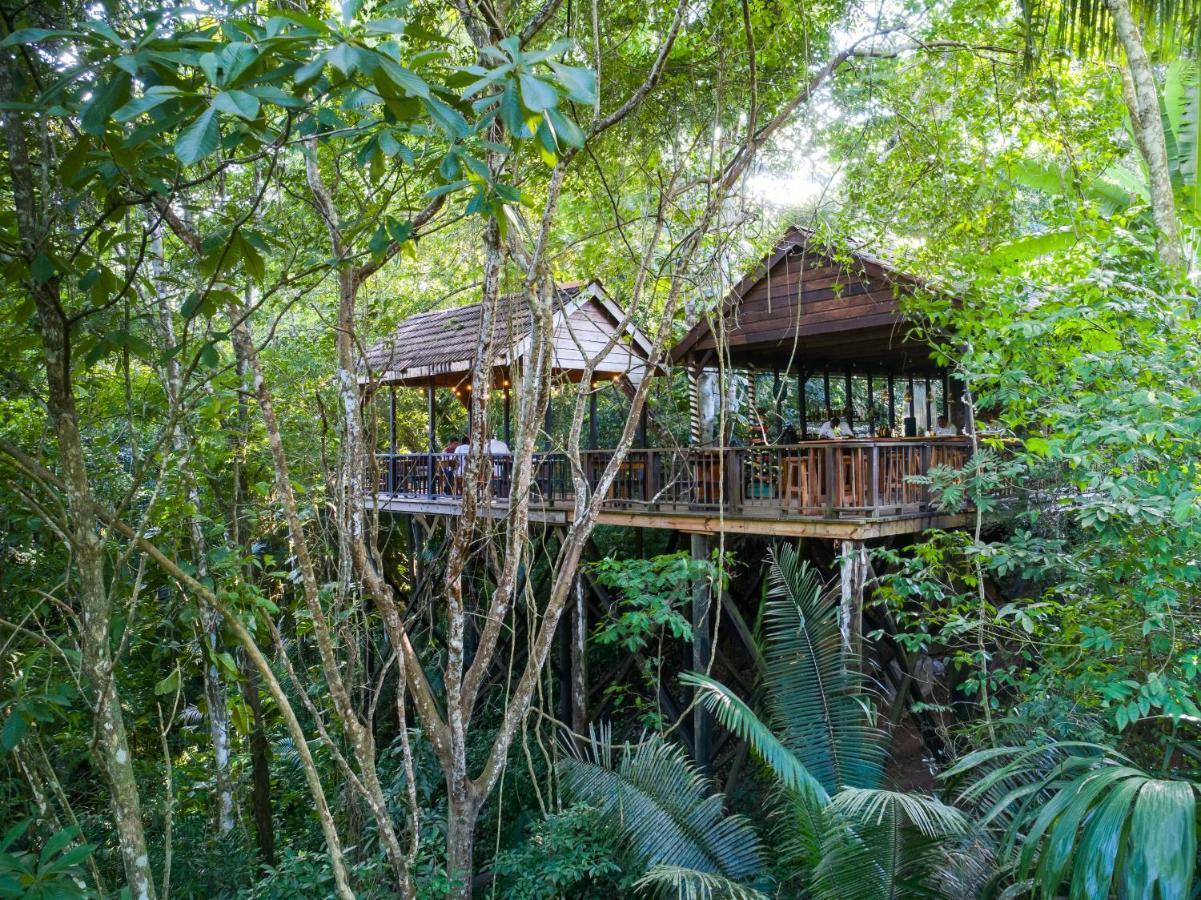 Sweet Songs Jungle Lodge Сан-Игнасио Экстерьер фото