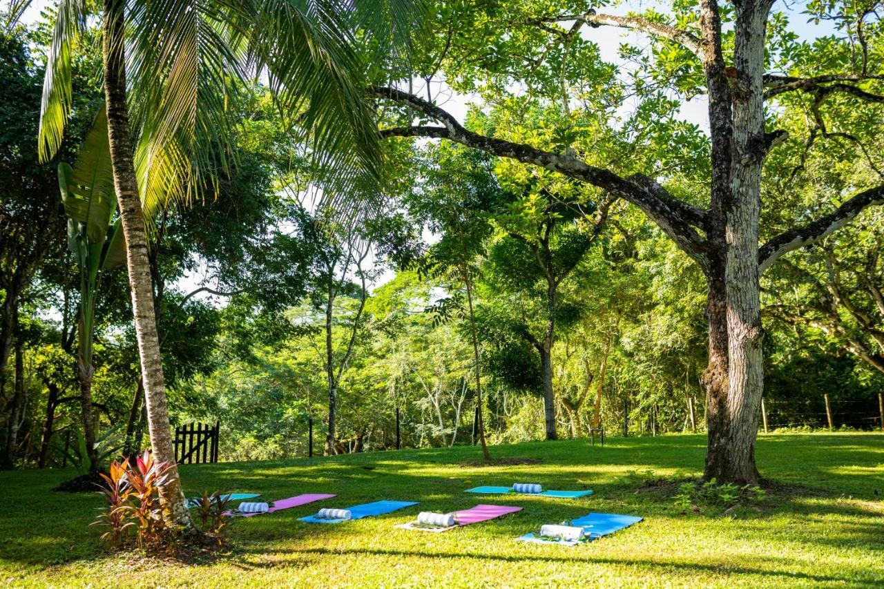 Sweet Songs Jungle Lodge Сан-Игнасио Экстерьер фото